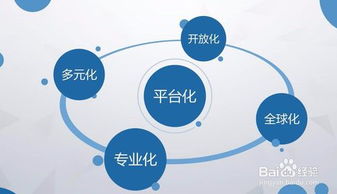 互聯(lián)網(wǎng)產(chǎn)品的運(yùn)營策略與方法 聚焦互聯(lián)網(wǎng)接入相關(guān)服務(wù)